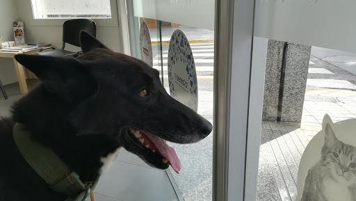 Clínica Veterinaria Bétera en Bétera