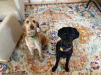 Brenton's Barkyard - Photo 2 - Car repair in , Daly City