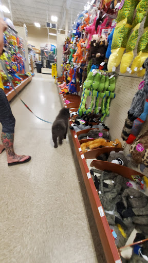 Pet Supply Store «PetSmart», reviews and photos, 637 Woodbury Glassboro Rd, Sewell, NJ 08080, USA