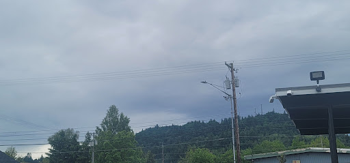 Park «Willamalane Park», reviews and photos, 1276 G St, Springfield, OR 97477, USA