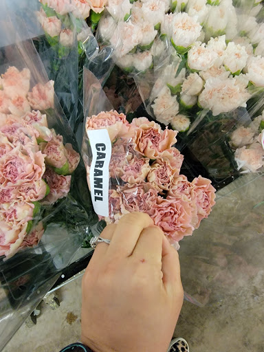 Florist «Botanica Wholesale Florist», reviews and photos, 3208 International Pl, Irving, TX 75062, USA