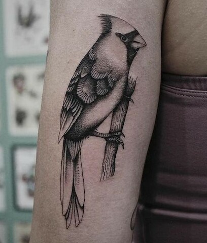 Tattoo Shop «Gypsy Rose Tattoo», reviews and photos, 1505 E Thomas Rd, Phoenix, AZ 85014, USA