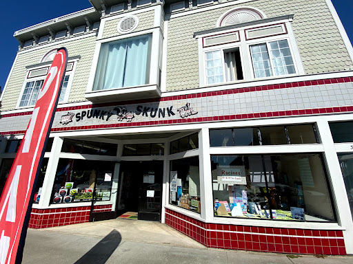 Toy Store «Spunky Skunk», reviews and photos, 344 N Franklin St, Fort Bragg, CA 95437, USA