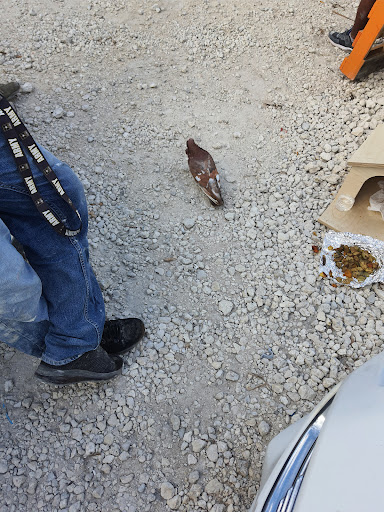 Thrift Store «St Vincent de Paul North Thrift Store», reviews and photos, 250 W Indiantown Rd, Jupiter, FL 33458, USA