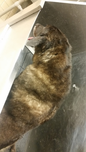 Pet Supply Store «Pet Supplies Plus», reviews and photos, 1616 Precinct Line Rd, Hurst, TX 76054, USA