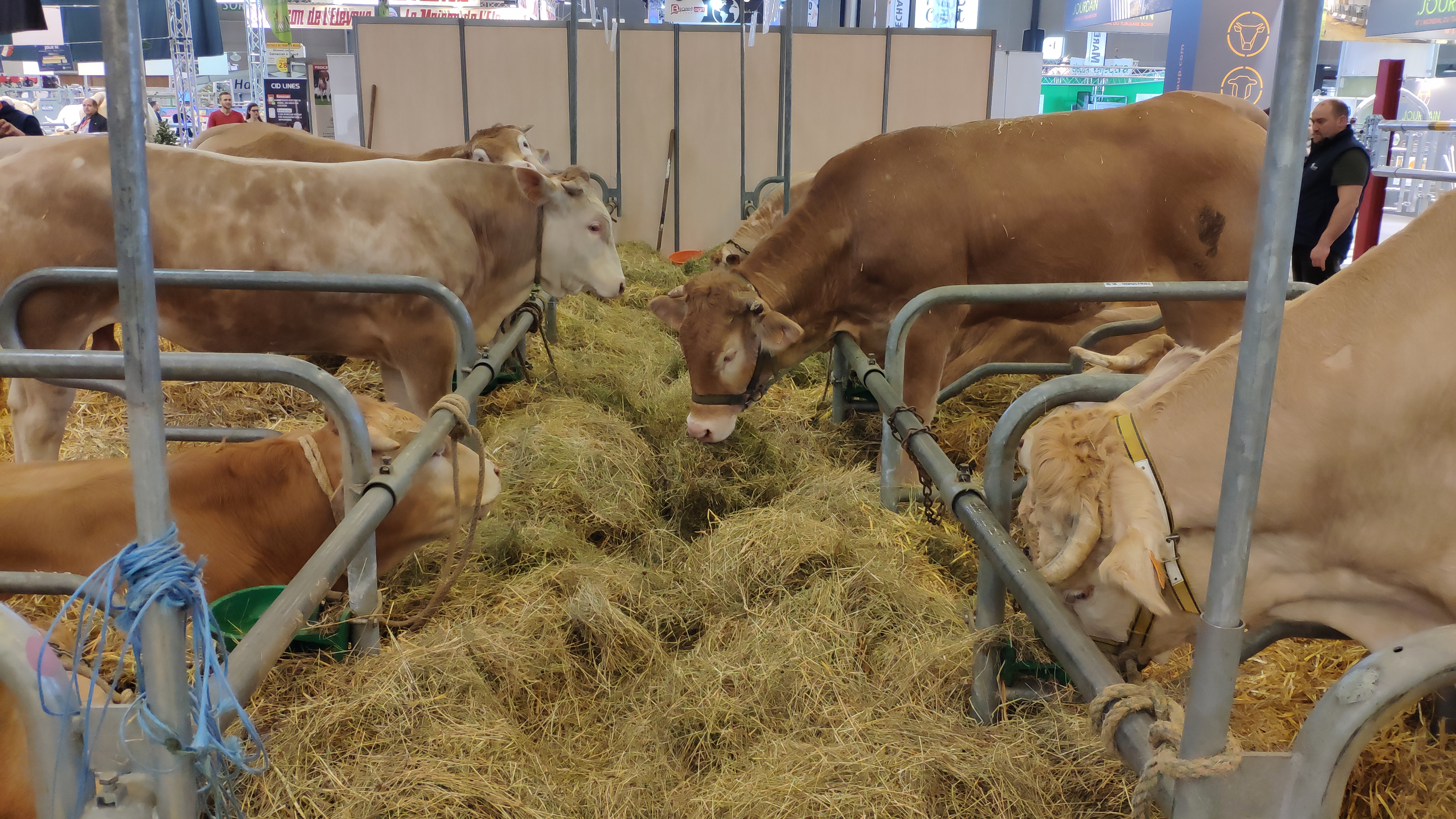 Photo n° 8 de l'avis de Bauer. fait le 28/02/2019 à 15:49