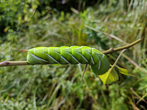 Golf Course «Deerpath Golf Course», reviews and photos, 500 W Deerpath Rd, Lake Forest, IL 60045, USA