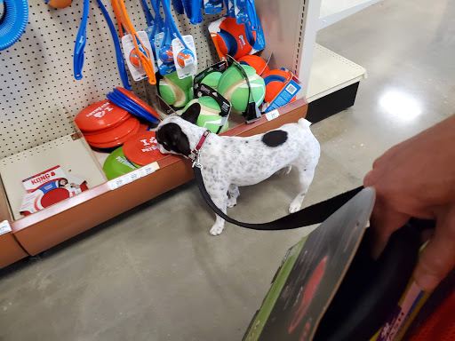 Pet Supply Store «PetSmart», reviews and photos, 159 N Weber Rd, Bolingbrook, IL 60490, USA