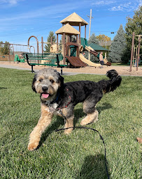 It's Good To Be Home Pet Sitting - Photo 4 - Car repair in , Omaha