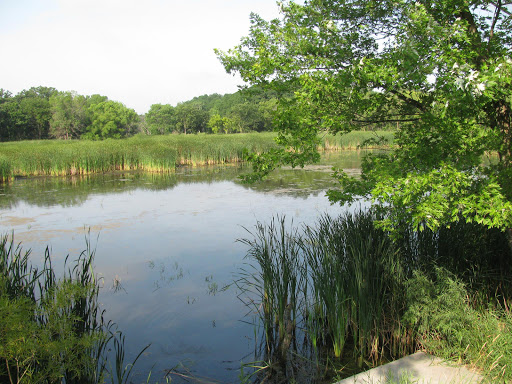 Nature Preserve «Lincoln Marsh», reviews and photos, Harrison Ave & Pierce Ave, Wheaton, IL 60187, USA