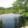 Lincoln Marsh