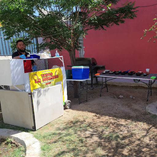 site_photo4