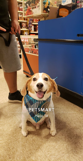 Pet Supply Store «PetSmart», reviews and photos, 6204 W Park Blvd, Plano, TX 75093, USA