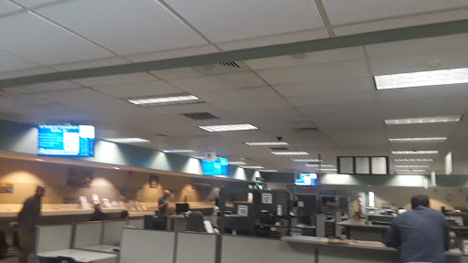 Carmichael DMV image