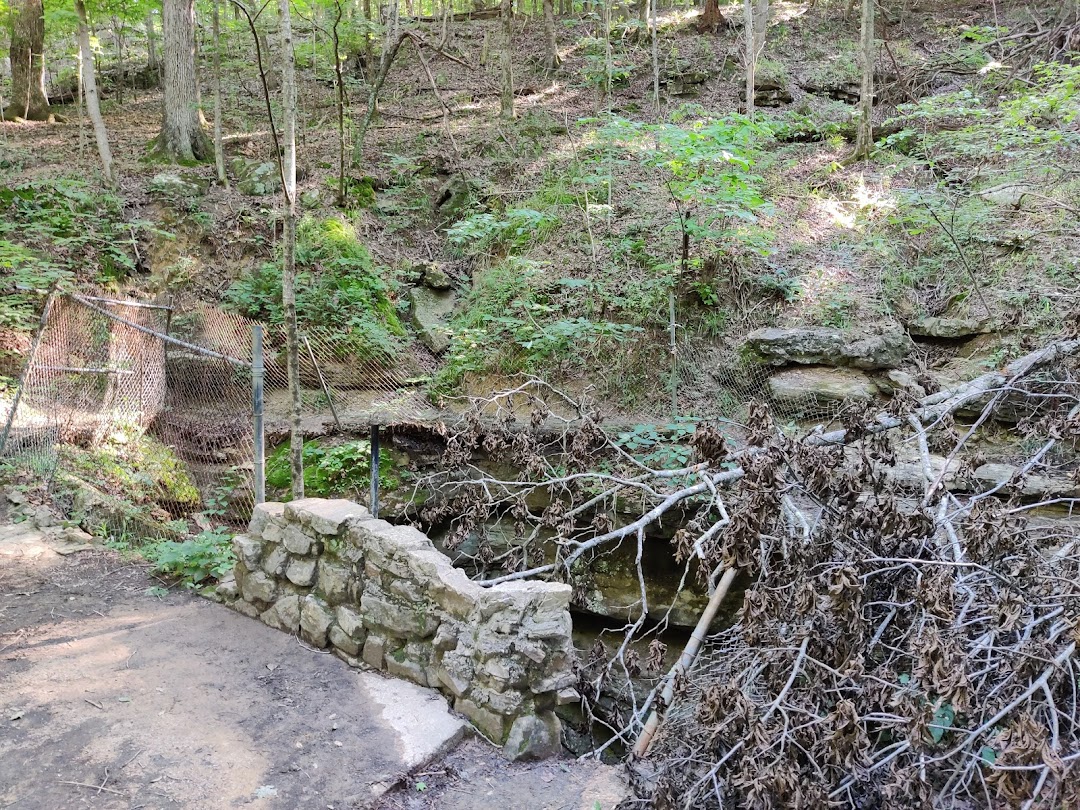 Natural Well