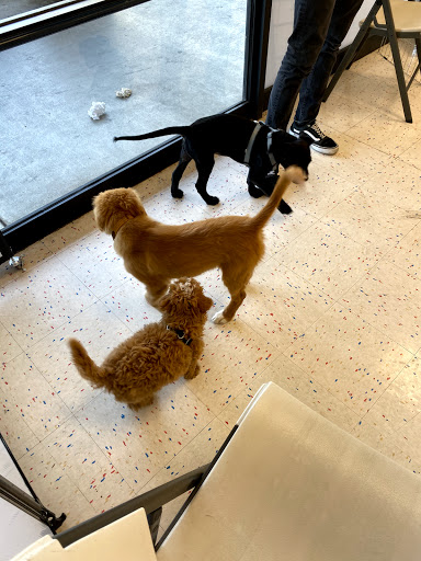 Pet Supply Store «Petco Animal Supplies», reviews and photos, 1919 El Camino Real, Mountain View, CA 94040, USA