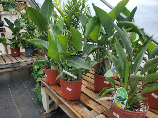 Garden Center «Beachside Gardens & Gifts», reviews and photos, 3725 US-12, Michigan City, IN 46360, USA