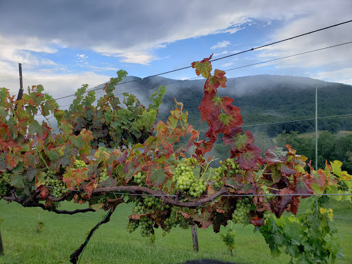 Winery «The Cottage Vineyard & Winery», reviews and photos, 5050 US-129, Cleveland, GA 30528, USA