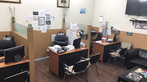 Used Car Dealer «Chase Auto Group», reviews and photos, 1733 E Gun Hill Rd, Bronx, NY 10469, USA