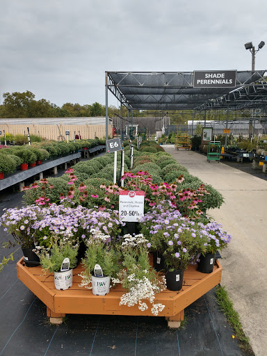 Garden Center «Stauffers of Kissel Hill Home & Garden Store», reviews and photos, 4450 Lincoln Hwy, York, PA 17406, USA