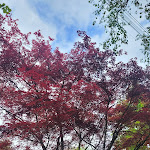 Photo n°15 de l'avis de Nicki. fait le 27/06/2021 à 21:22 sur le  Landhaus Ettenbühl à Bad Bellingen