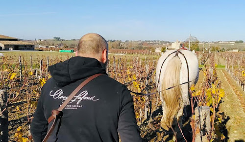 Domaine Claude Lafond à Reuilly