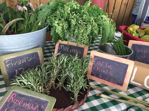 Farm «Sweetwater Organic Community Farm», reviews and photos, 6942 W Comanche Ave, Tampa, FL 33634, USA