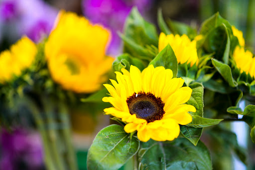 Florist «Melody Flowers», reviews and photos, 14520 Brookhurst St, Westminster, CA 92683, USA