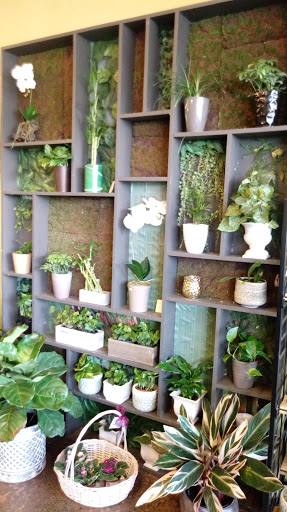 Florist «Flowers & Plants Etc», reviews and photos, 1378 Chain Bridge Rd, McLean, VA 22101, USA