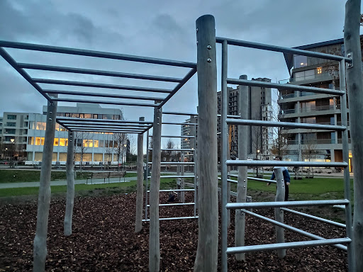 Antwerpen Calisthenics Park - Nieuw Zuid