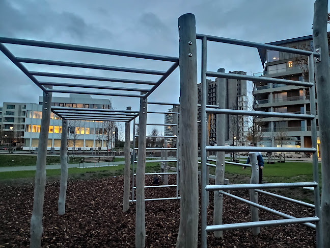 Antwerpen Calisthenics Park - Nieuw Zuid - Sportschool