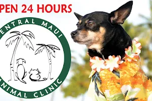 Central Maui Animal Clinic image