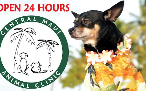 Central Maui Animal Clinic image
