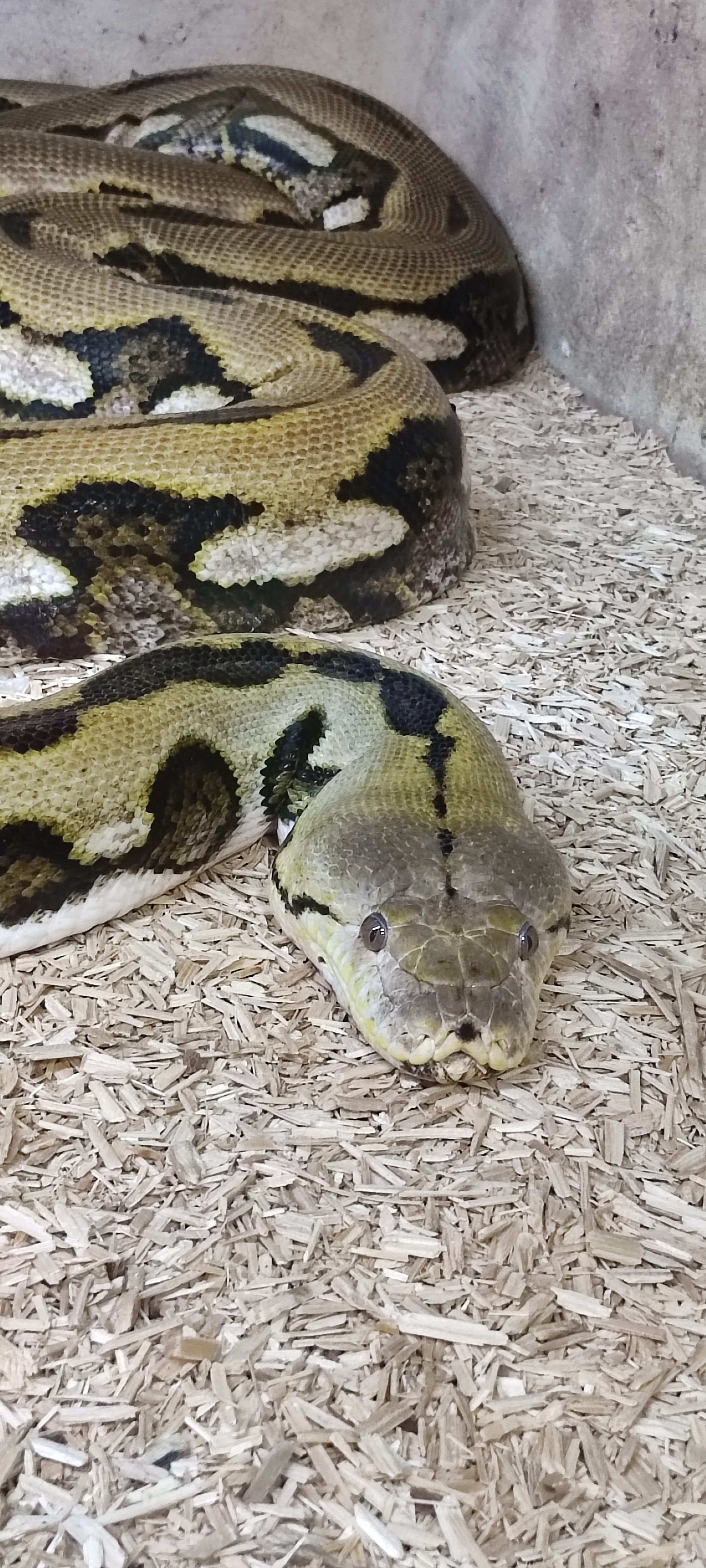 Photo n° 38 de l'avis de Yannick.o fait le 11/02/2023 à 16:29