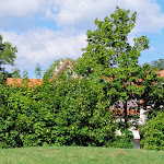 Photo n°4 de l'avis de Barbara.s fait le 03/09/2022 à 06:22 sur le  Plumbohms Aussichtsreich Gast- und Logierhaus auf dem Burgberg à Bad Harzburg