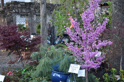 Garden Center «Stonewall Garden Center», reviews and photos, 4675 PA-447, Canadensis, PA 18325, USA