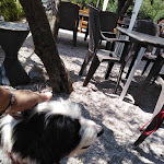 Photo n°3 de l'avis de Antonio.e fait le 18/07/2020 à 10:57 sur le  Agriturismo Scuderia Castello à Toscolano Maderno