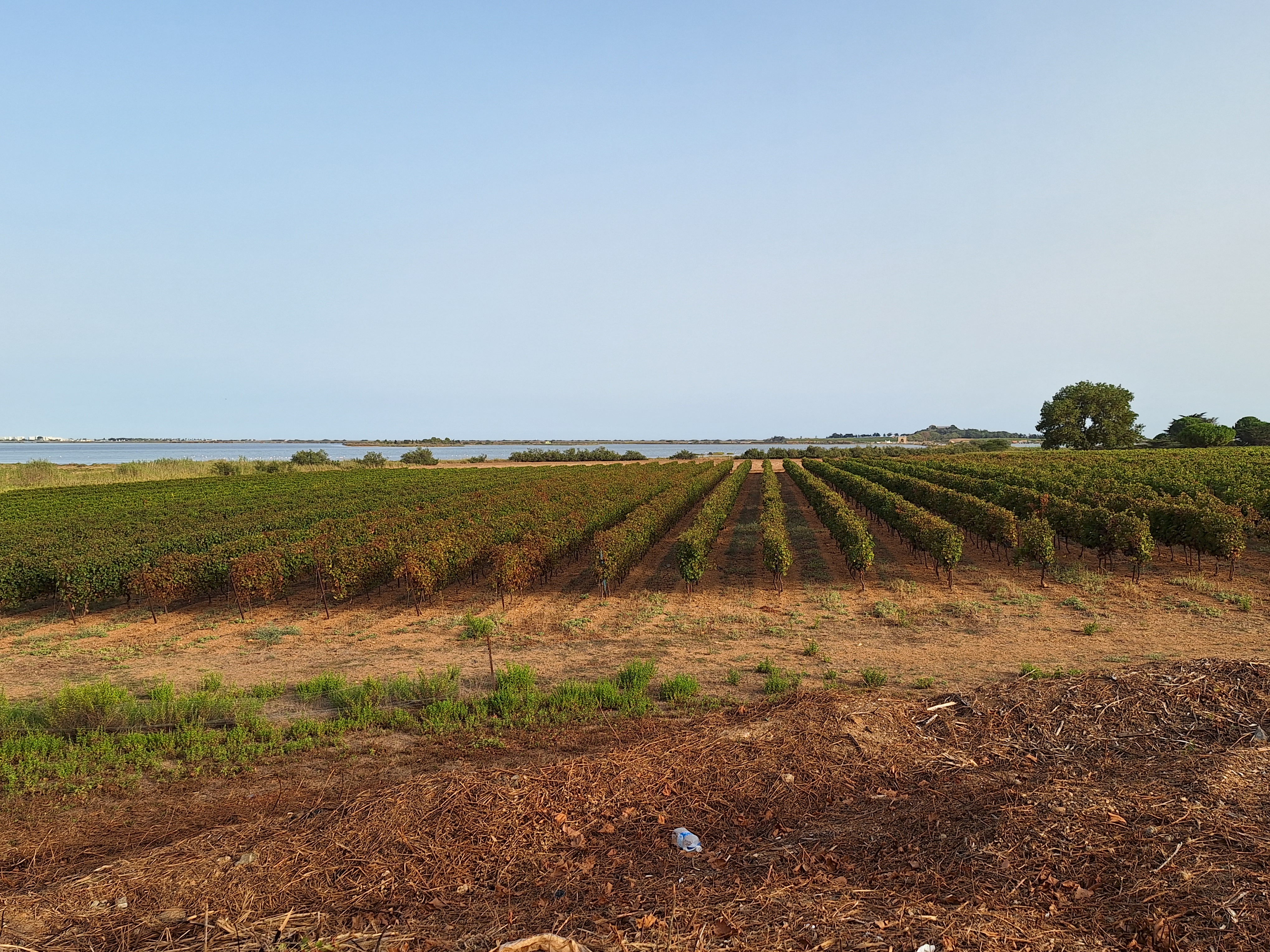 Photo n° 1 de l'avis de danny.e fait le 29/09/2023 à 07:51