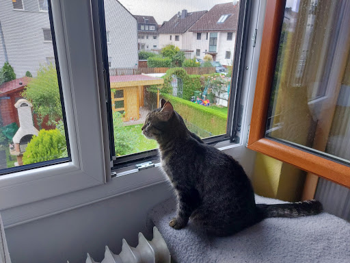 Veterinary practice Bettina Gramß unter Rodgau, 