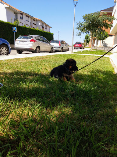 Veterinario Renedo en Renedo de Piélagos