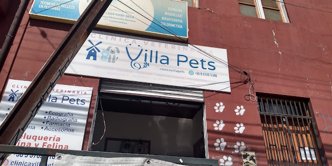 Villa Pets - Villa Alemana