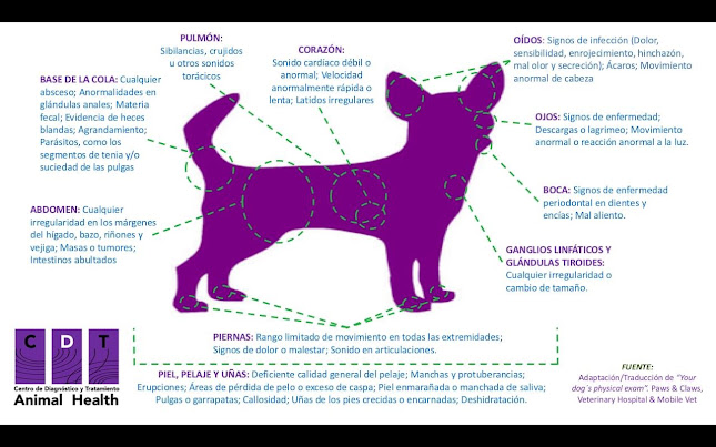 https://www.facebook.com/CDT.Animal.Health/