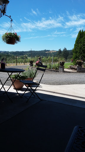 Vineyard «Stangeland Vineyards & Winery», reviews and photos, 8500 Hopewell Rd NW, Salem, OR 97304, USA