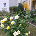 Photo n°1 de l'avis de Hans.� fait le 27/10/2018 à 06:31 sur le  Gasthaus zur Sonne à Schleusingen