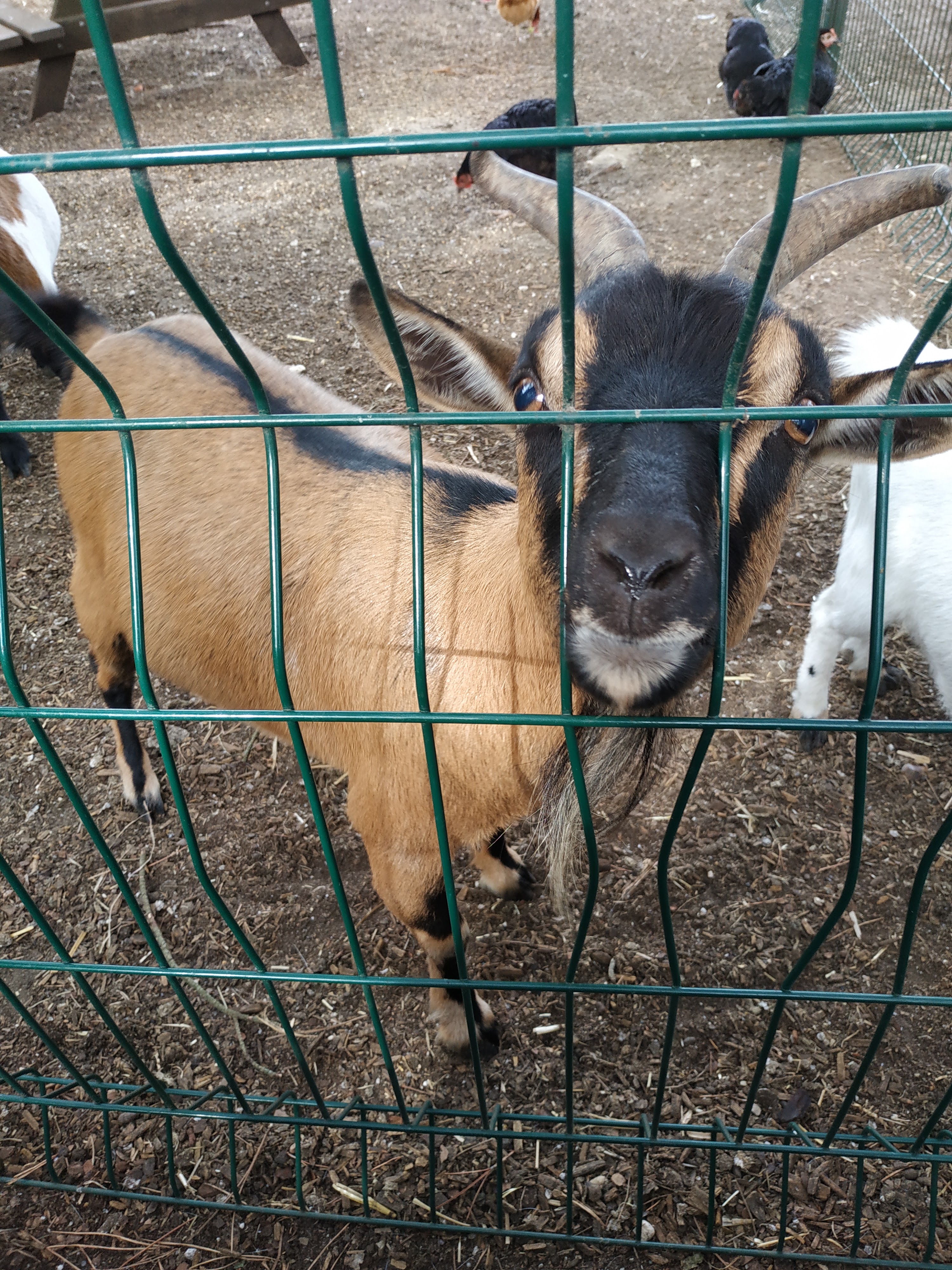 Photo n° 3 de l'avis de Jessy.e fait le 25/08/2018 à 16:56