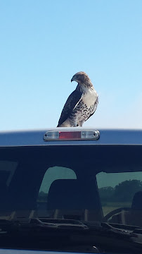 James Ford Inc - Photo 6 - Car repair in Half Moon Bay, CA, San Mateo