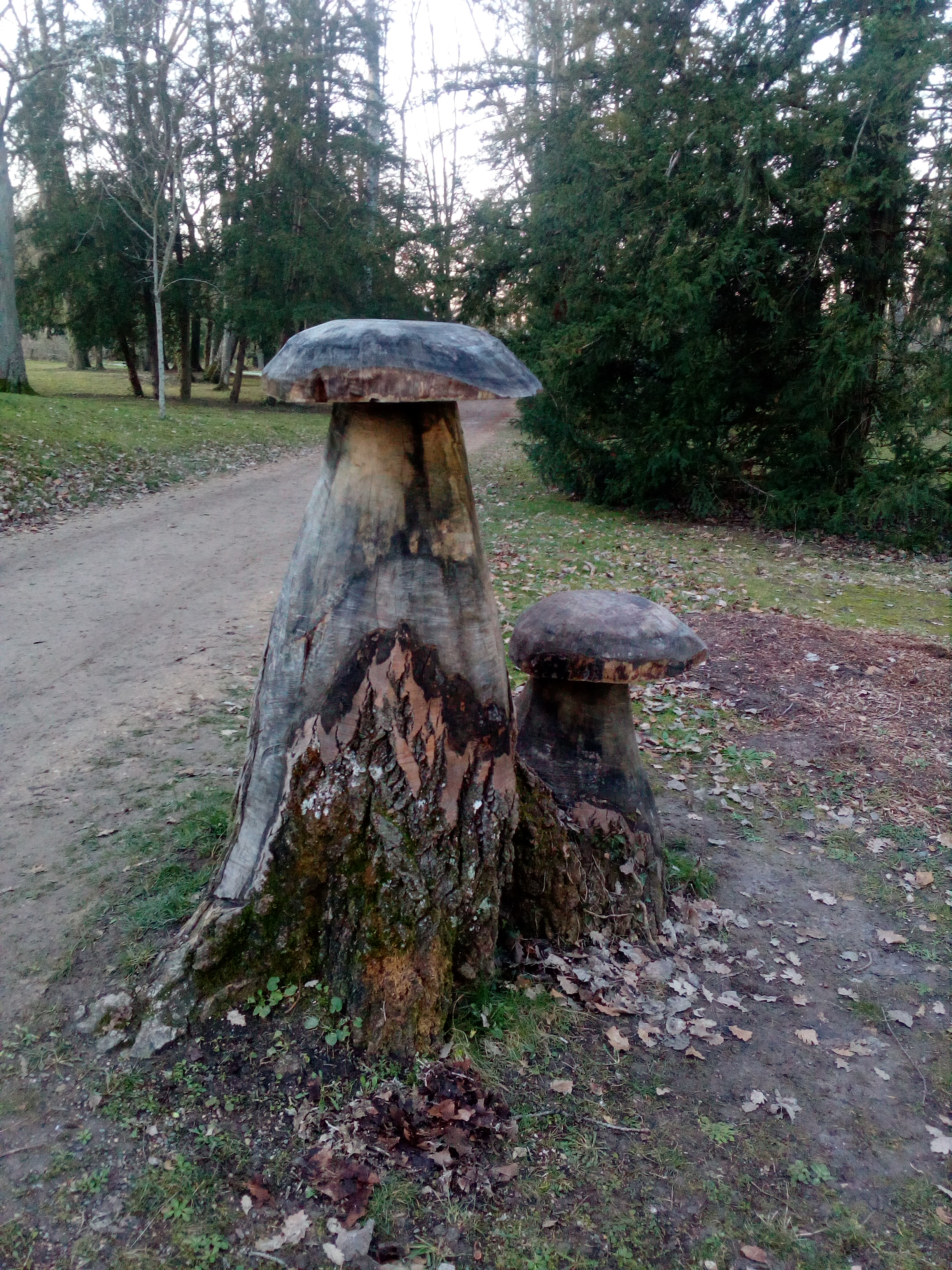 Photo n° 8 de l'avis de la.� fait le 23/11/2017 à 17:09