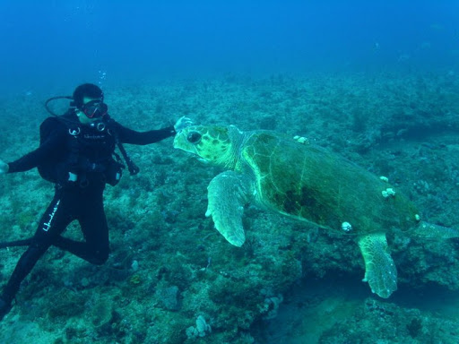 Dive Shop «Dive Shop Kissimmee», reviews and photos, 4916 W Irlo Bronson Memorial Hwy, Kissimmee, FL 34746, USA