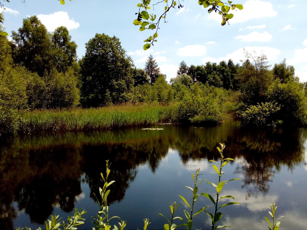 Riedhalle Wilhelmsdorf