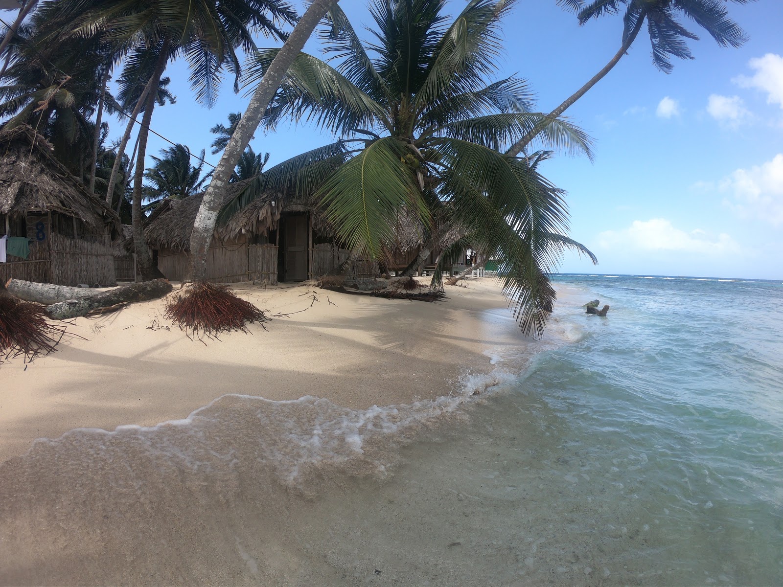 Foto van Islas Franklin Beach met hoog niveau van netheid